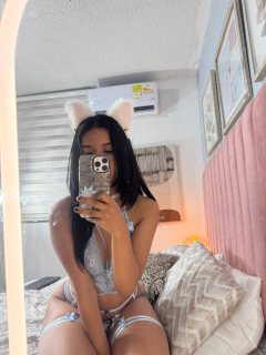 CatalinaFox
